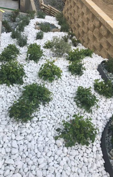 Garden Time Pura Ticino manutenzione progettazione giardini