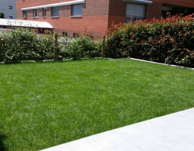 Garden Time Pura Ticino manutenzione progettazione giardini