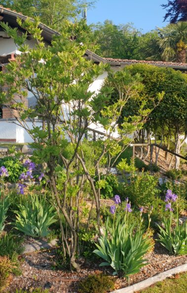 Progettazione Giardini Garden Time Pura