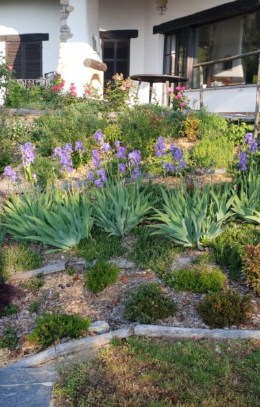 Progettazione Giardini Garden Time Pura