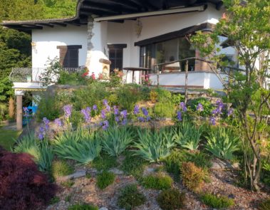 Progettazione Giardini Garden Time Pura