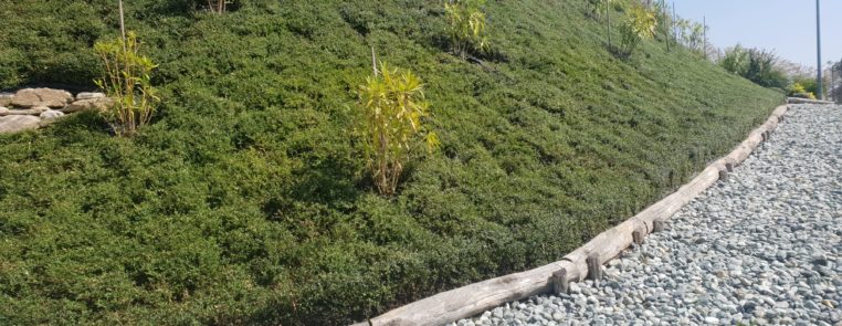 Progettazione Giardini Garden Time Pura